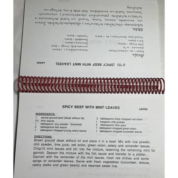 Rare North Dallas High School Multicultural Cookbook English with Translation - Picture 9 of 13